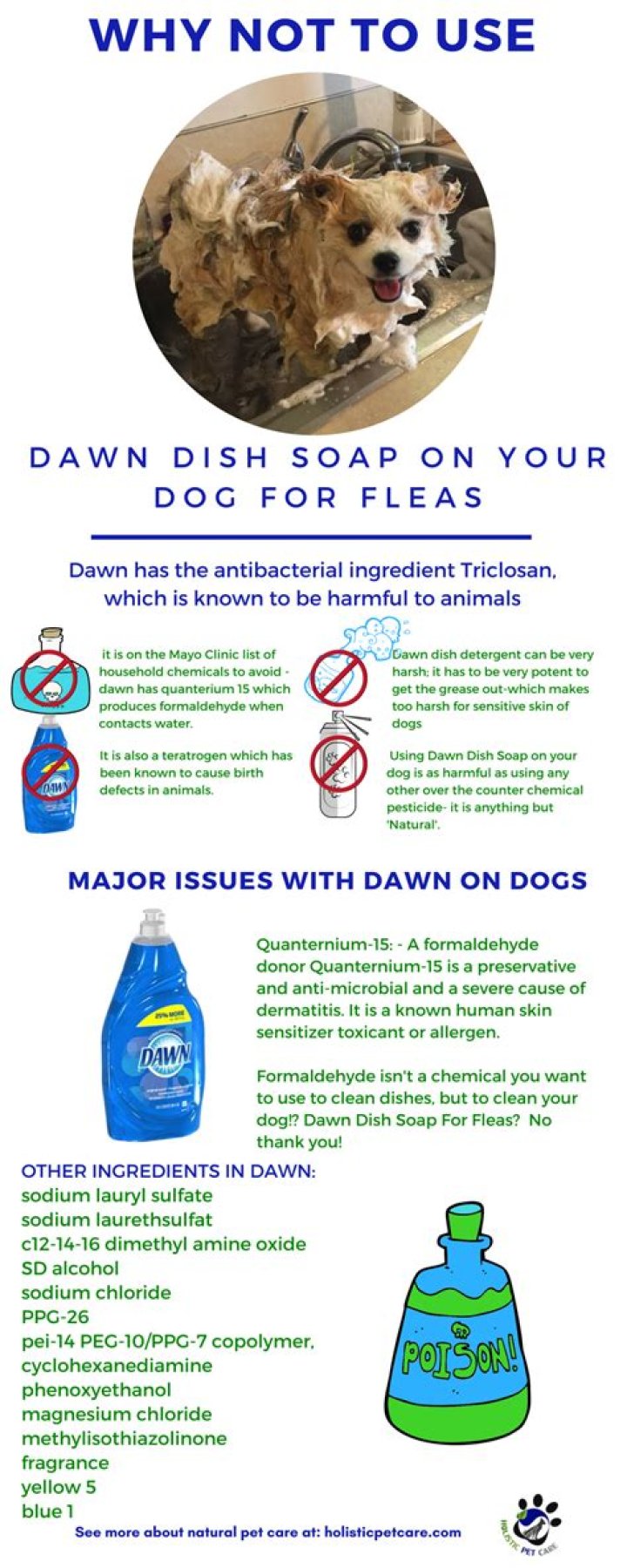 Dawn dish soap for fleas