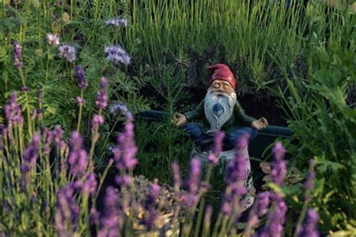 Do Gnomes Come Alive At Night