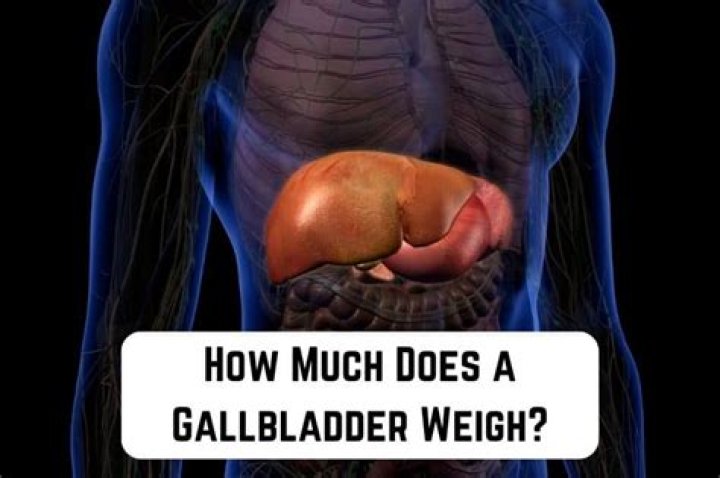 How Much Does A Gallbladder Weigh