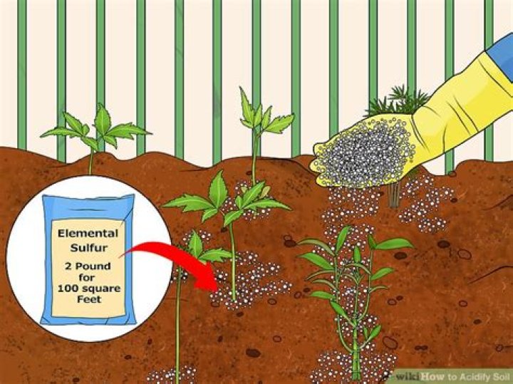 How to acidify soil - How To Discuss